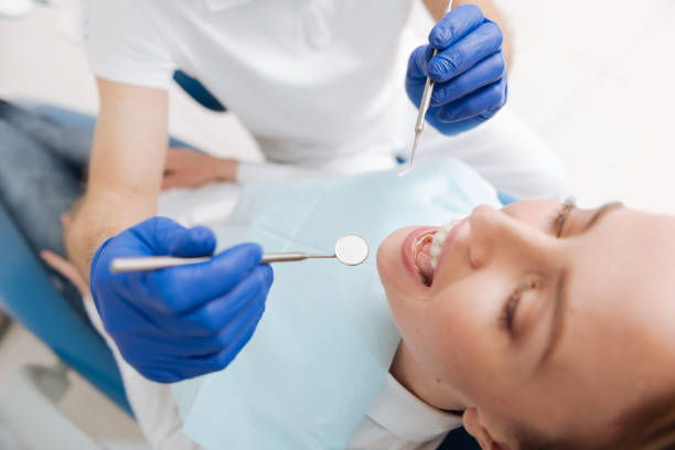 Professional Dental Services in Towamensing Trails, PA